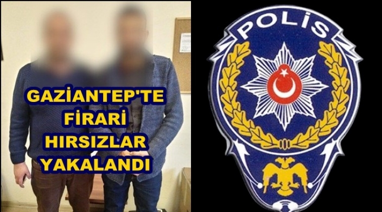 Gaziantep'te firari hırsızlar yakalandı!