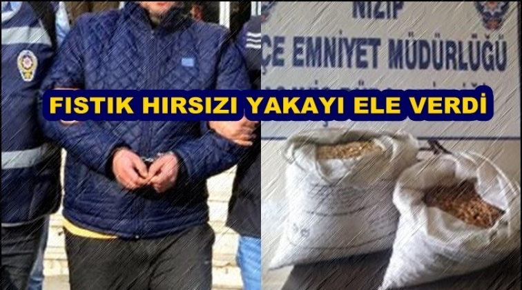 Gaziantep'te fıstık hırsızı polisten ka&ccedil;amadı!