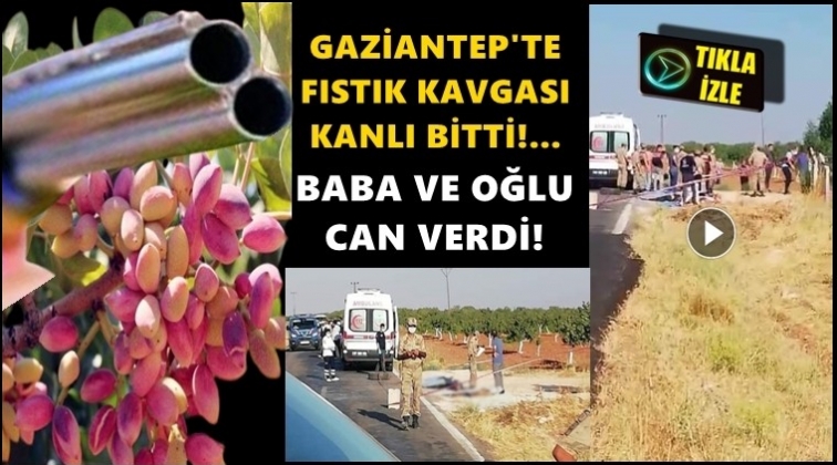Gaziantep'te 'fıstık' kavgası kanlı bitti!