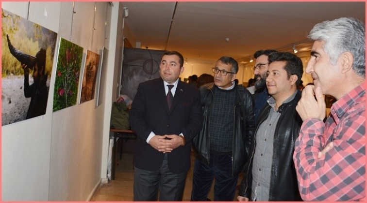 Gaziantep’te ilk kez Doğa Sanatı Sergisi açıldı