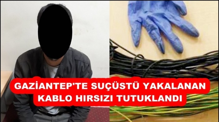 Gaziantep'te kablo hırsızlığına suçüstü!