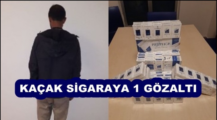 Gaziantep'te kaçak sigaraya 1 gözaltı