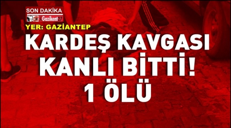 Gaziantep'te kardeş kavgası kanlı bitti: 1 ölü