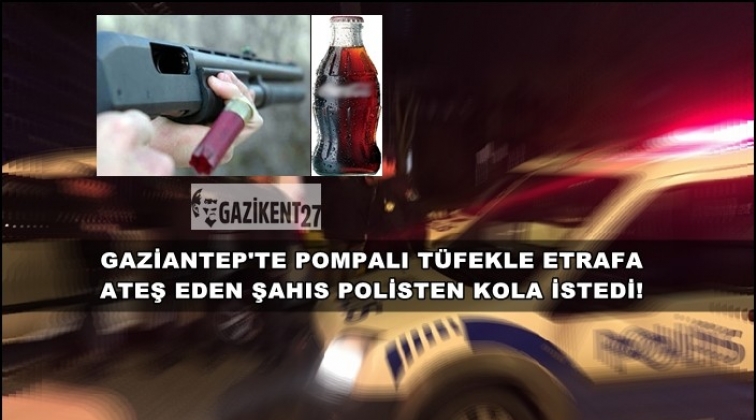 Gaziantep'te magandayı polis kola ile ikna etti!