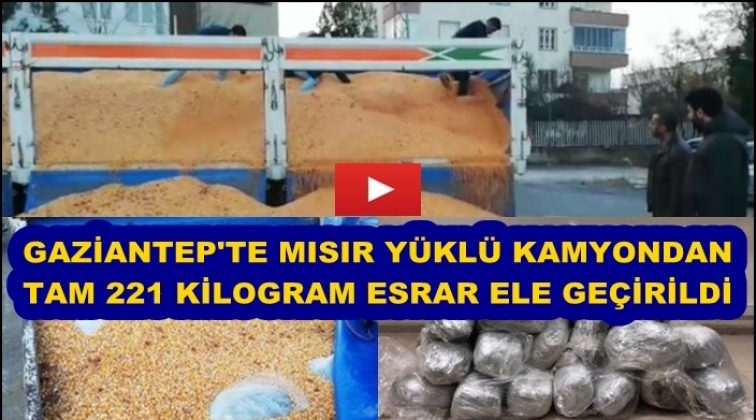 Gaziantep'te mısır y&uuml;kl&uuml; kamyonda 221 kilo esrar &ccedil;ıktı!