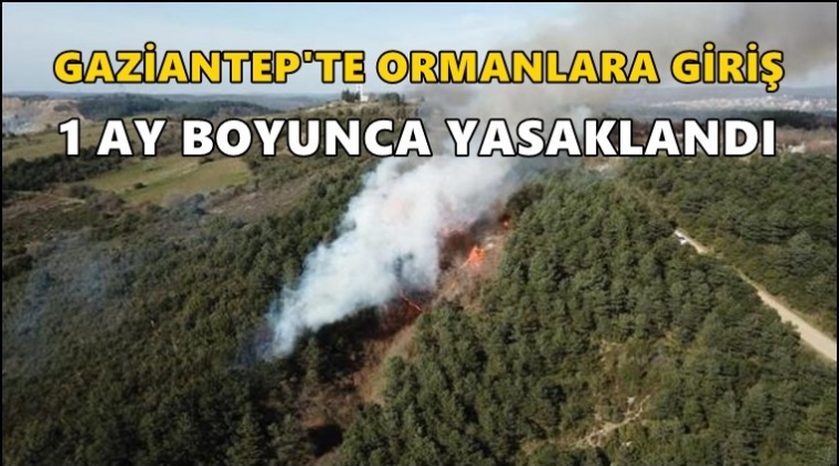 Gaziantep'te ormanlara giriş 1 ay yasaklandı!