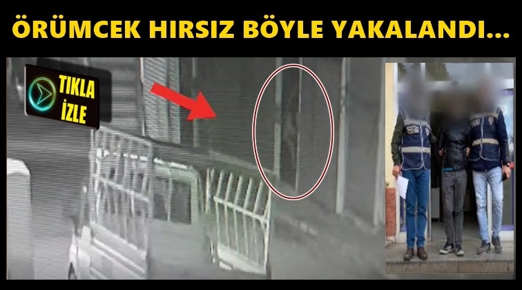 Gaziantep'te &ouml;r&uuml;mcek adam gibi hırsız...