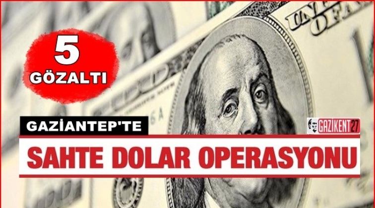 Gaziantep'te sahte dolar operasyonu