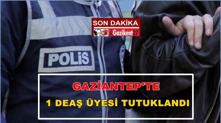 Gaziantep'te terör operasyonu: 1 tutuklama
