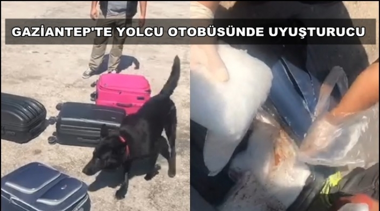 Gaziantep'te yolcu valizinden uyuşturucu &ccedil;ıktı!