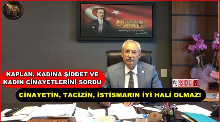 Gaziantep&rsquo;teki kadın cinayetlerini meclise taşıdı