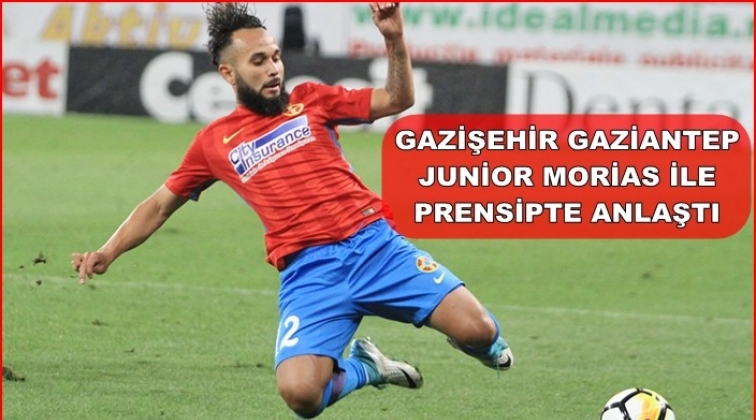 Gazişehir, Junior Morais ile prensipte anlaştı