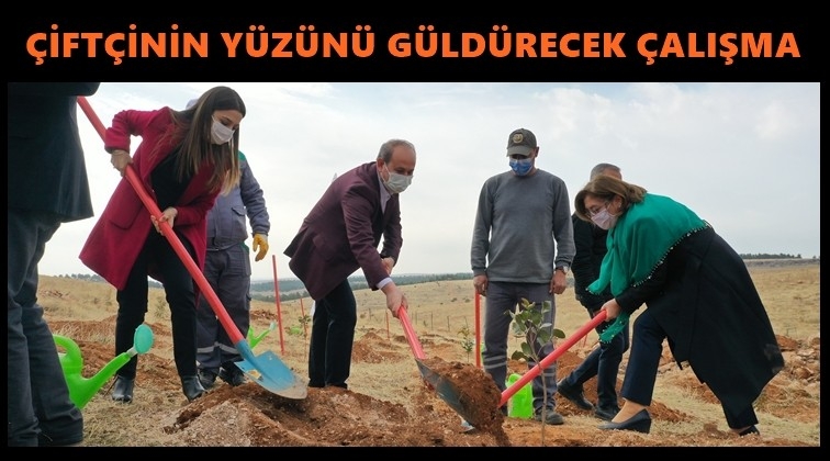 Gelir getirici fidan dikimi...