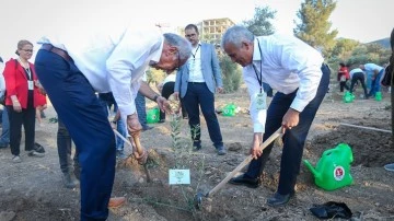 Girne'de zeytin fidan dikim töreni 