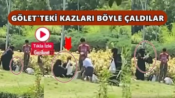 G&ouml;letteki kazları &ccedil;antaya koyup &ccedil;aldılar!