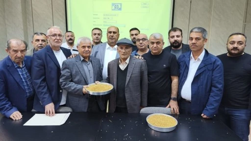 GTB'de yılın ilk buğdayı 13 lira 50 kuruştan alıcı buldu