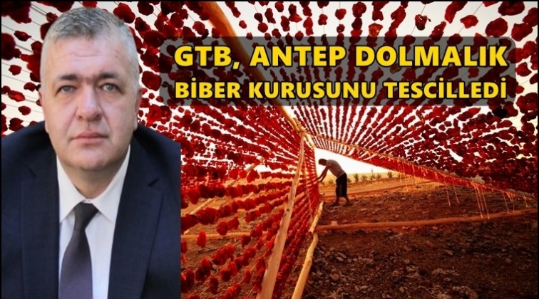 GTB'den 'Dolmalık Biber'e tescil belgesi