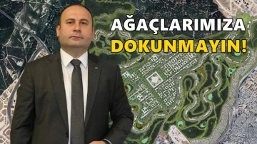 Güçyetmez: Ağaçlarımıza ve geleceğimize dokunmayın!