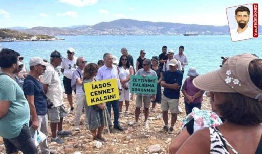 Güllük Körfezi’nde talana fren: Halk kazandı