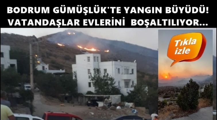 G&uuml;m&uuml;şl&uuml;k'te yangın, vatandaş evlerini terk ediyor!..
