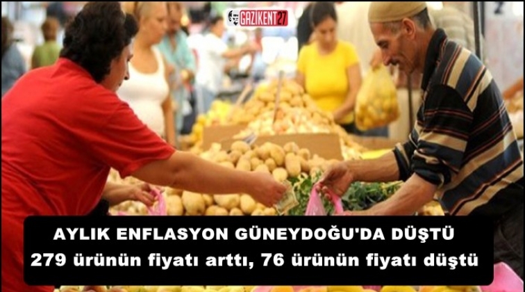 Güneydoğu, aylık enflasyonda düşüş olan tek bölge