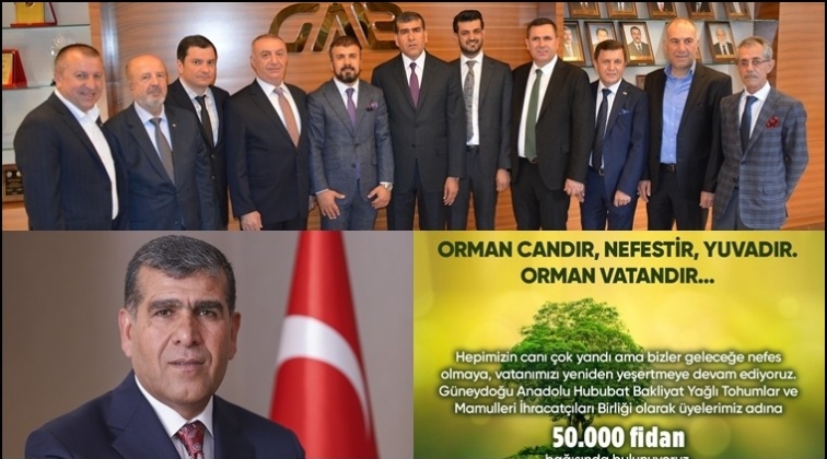 G&uuml;neydoğulu hububat&ccedil;ılardan 50 bin fidan...