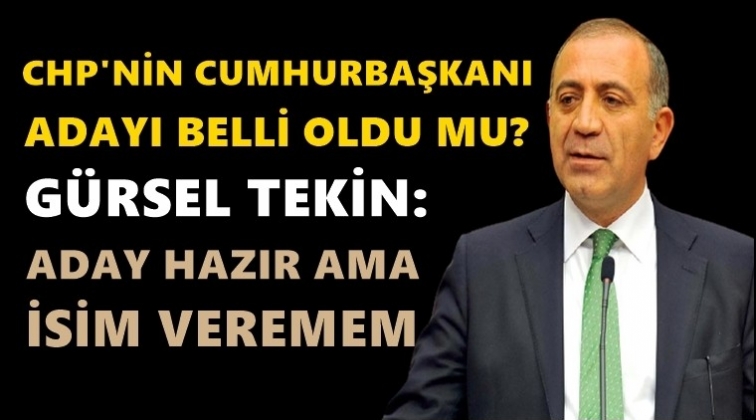 G&uuml;rsel Tekin: CHP&rsquo;nin adayı hazır...