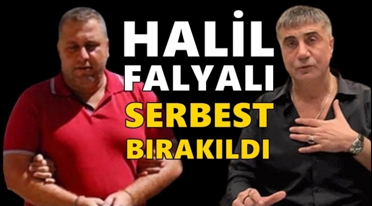Halil Falyalı serbest&nbsp;bırakıldı!
