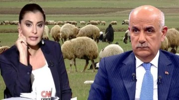 Hande Fırat ve Bakan Kiriş&ccedil;i hakkında su&ccedil; duyurusu