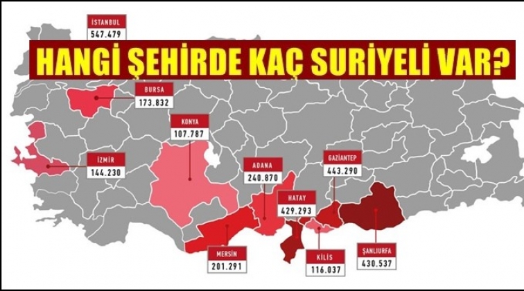 Hangi ilde ka&ccedil; Suriyeli var?