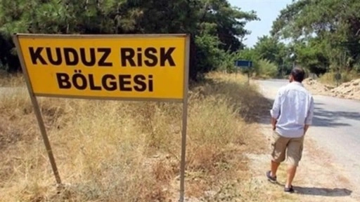 Hatay'ın 4 mahallesinde 'kuduz' karantinası!