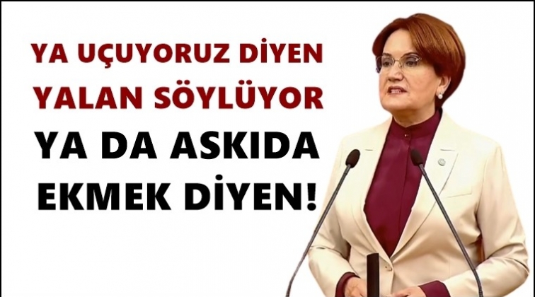 'Hayaller doğalgaz, ger&ccedil;ekler askıda ekmek'