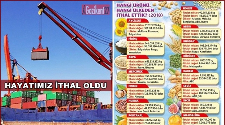 Hayatımız ithal oldu!