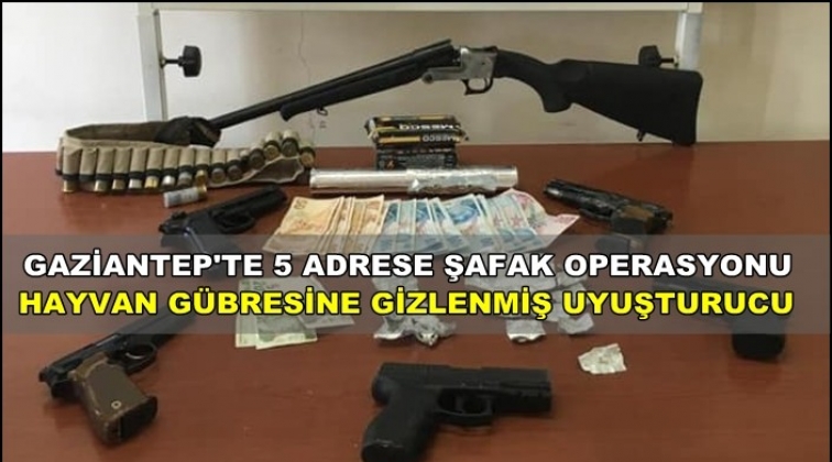 Hayvan g&uuml;bresine gizlenmiş sentetik uyuşturucu!