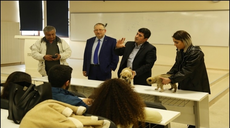 Hayvan Hakları Hukukum m&uuml;fredata girdi