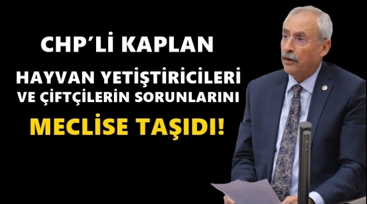 Hayvan yetiştiricilerinin sorunları TBMM'de