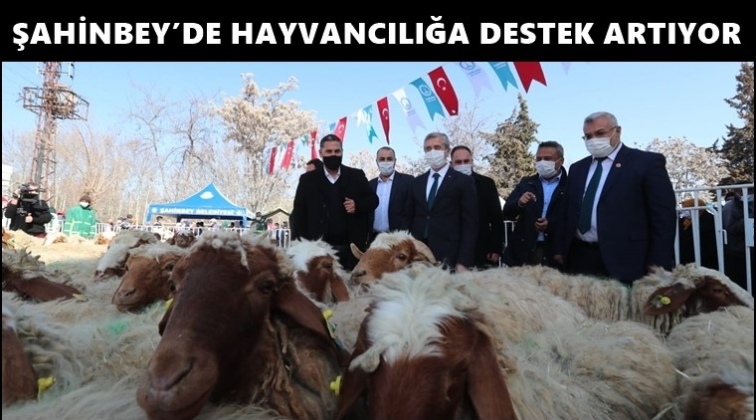 Hayvan yetiştiricilerinin y&uuml;z&uuml; g&uuml;ld&uuml;!