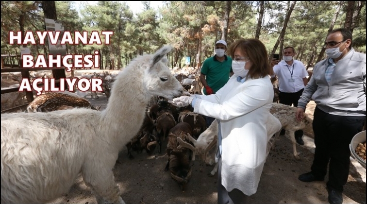 Hayvanat Bah&ccedil;esi 15 Haziran&rsquo;da a&ccedil;ılıyor