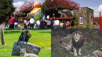 Hayvanat Bahçesi bayramda 51 bin 500 kişiyi ağırladı