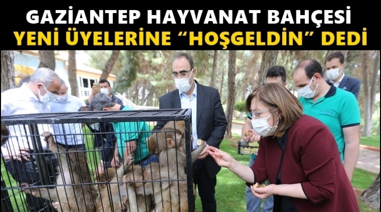 Hayvanat Bah&ccedil;esi yeni &uuml;yelerine kavuştu