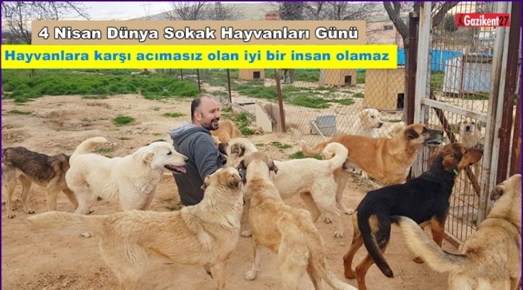 Hayvanlara karşı acımasız olan iyi bir insan olamaz