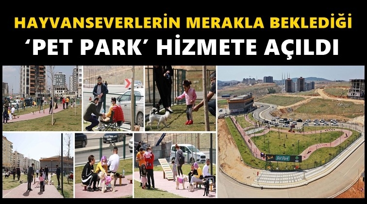 Hayvanseverlerin 'Pet Park' sevinci...