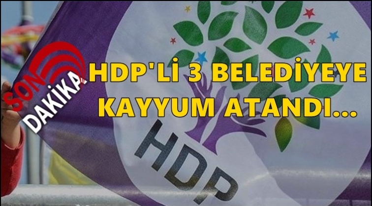 HDP&rsquo;li 3 belediyeye kayyum atandı!