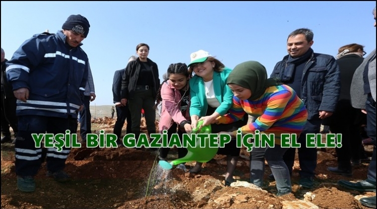 Hedef: 27 milyon fidan