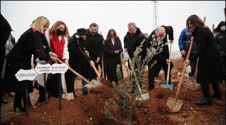 Hisarcıklıoğlu, meyve ormanına ağaç dikti