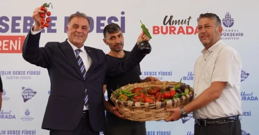 İBB'den &ccedil;ift&ccedil;ilere kışlık sebze fidesi