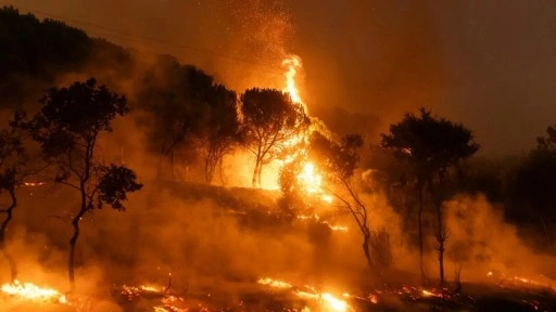 İletişim Başkanlığı'ndan yangınlara ilişkin açıklama: 3 günde 263 orman yangını çıktı!