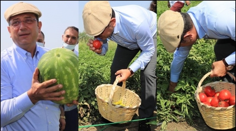 İmamoğlu kasketini taktı, &ccedil;ift&ccedil;ilerle hasad yaptı...