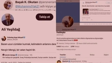 İnce'nin sahte kasetini servis eden hesabın sahibi AKP'li trol &ccedil;ıktı