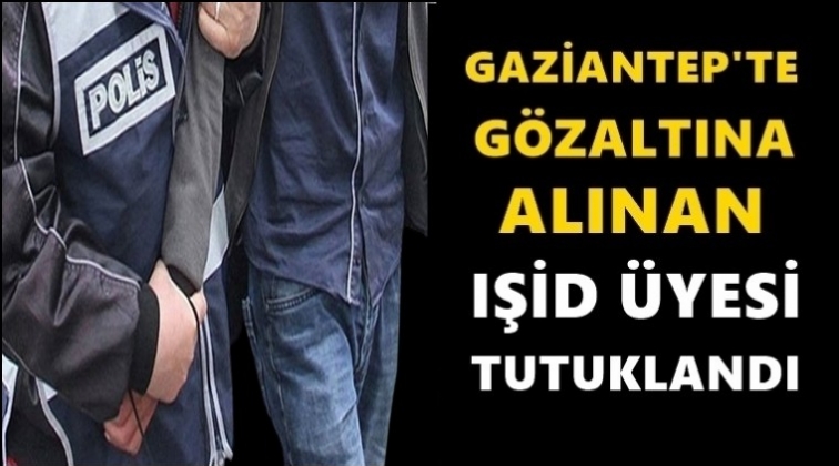 IŞİD üyesi Gaziantep'te tutuklandı...